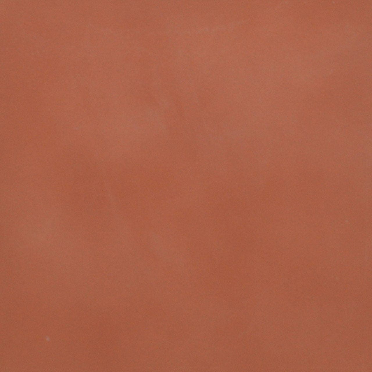 Bokel Home Sample Brick Red Painted Mango Wood Sample