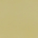 Bokel Home Sample Light Yellow Painted Mango Wood Sample