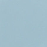 Bokel Home Sample Sky Blue Painted Mango Wood Sample