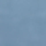 Bokel Home Sample Vintage Blue Painted Mango Wood Sample