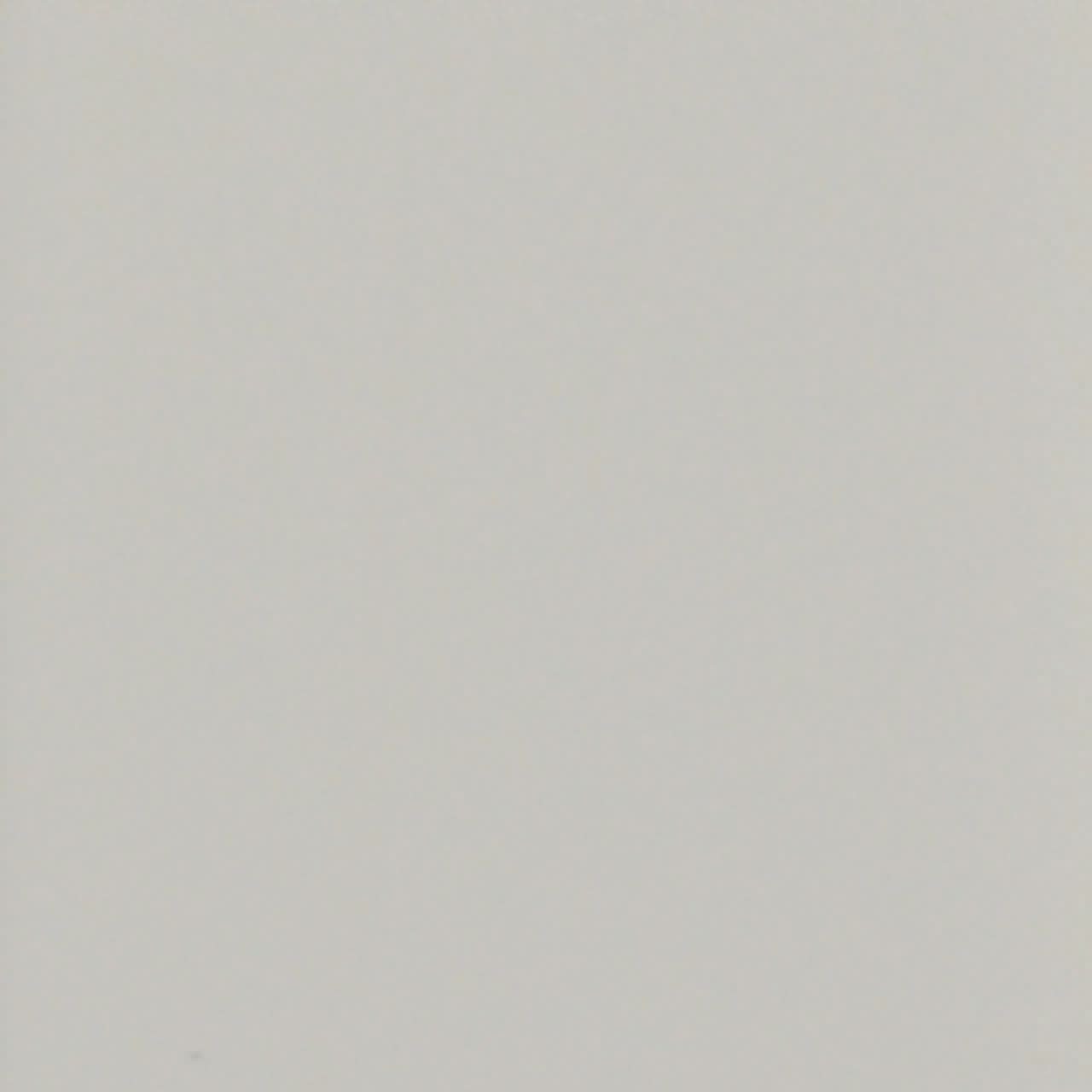 Bokel Home Sample White Painted Mango Wood Sample