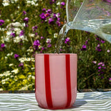 Atina Tumbler Glass - Pink & Red