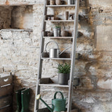 Aldsworth Shelf Ladder Wide, Small - Natural