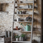 Aldsworth Shelf Ladder Wide, Large - Natural