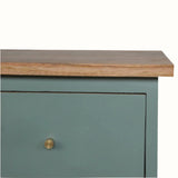 Green cabinet with wooden top and brass handle on a white background