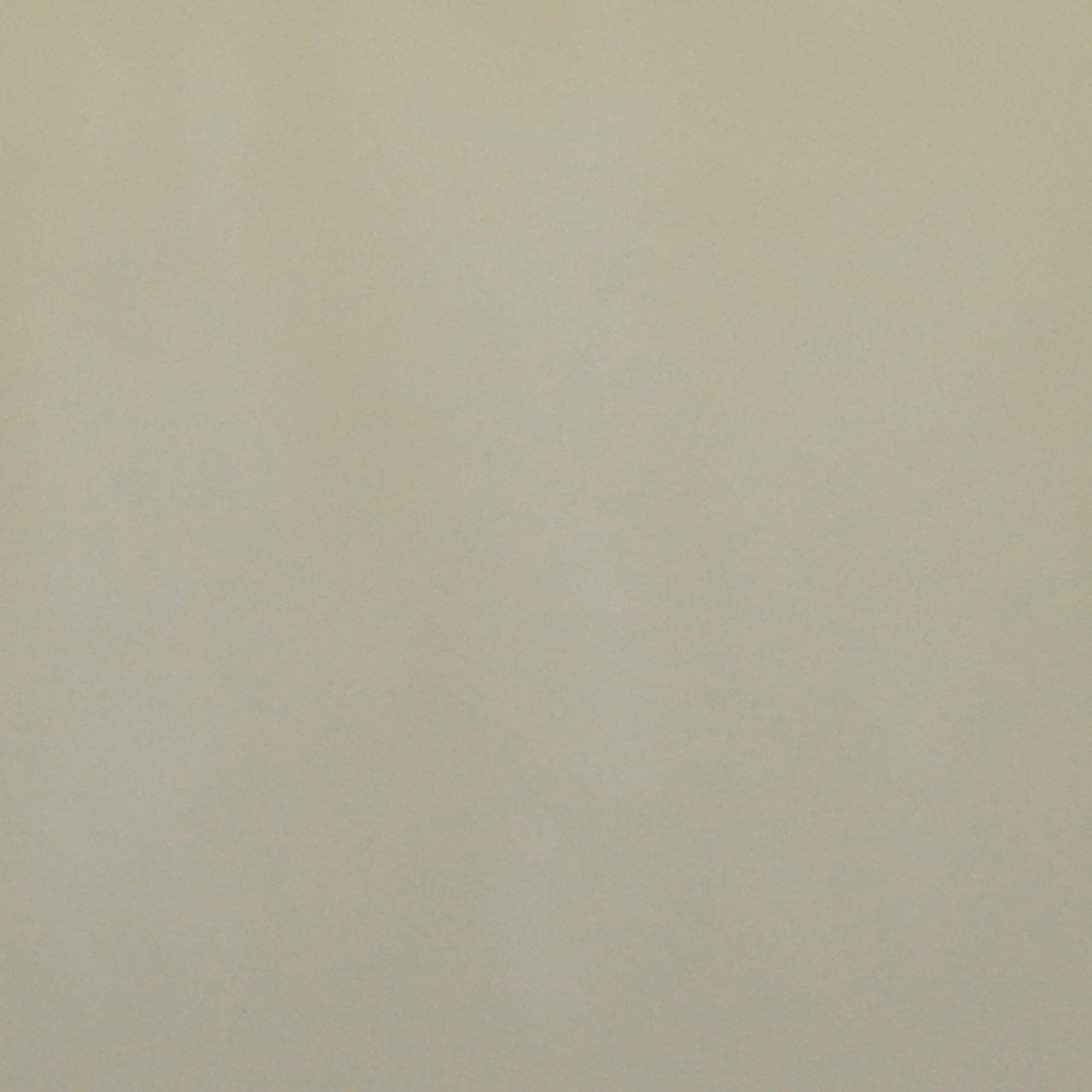 A close up photograph showing our cream paint sample.