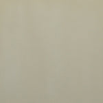 A close up photograph showing our cream paint sample.