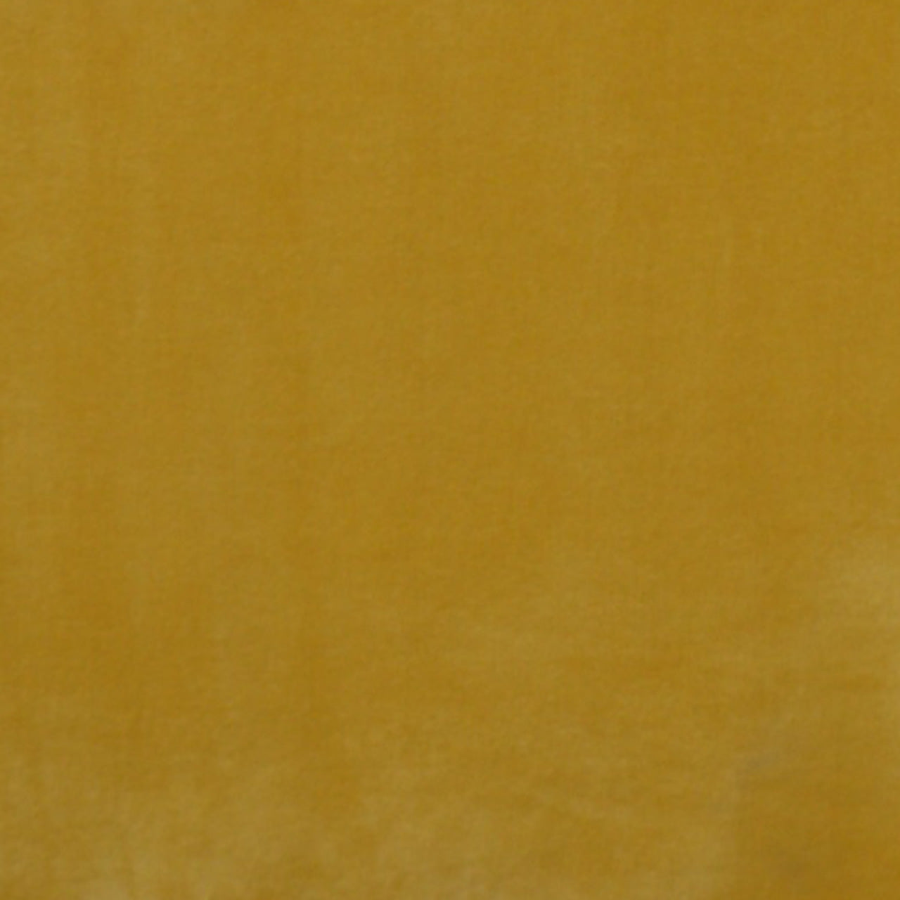 A close up photograph showing our yellow mustard velvet sample.