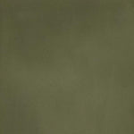A close up photograph showing our olive green paint sample.