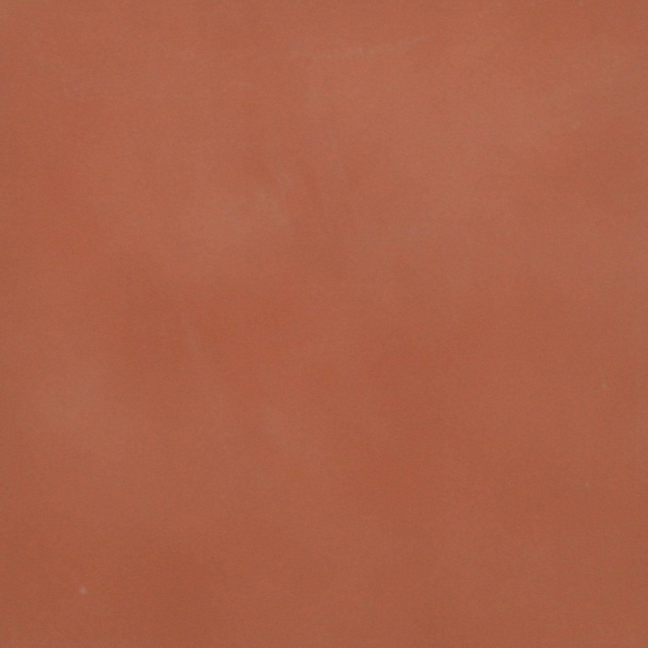 A close up photograph showing our rust red paint sample.