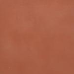 A close up photograph showing our rust red paint sample.