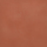 A close up photograph showing our rust red paint sample.