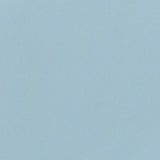 A close up photograph showing our sky blue paint sample.