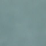 A close up photograph showing our vintage green paint sample.