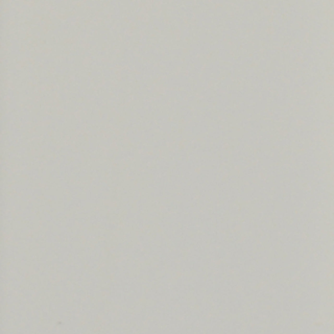 A close up photograph showing our white paint sample.