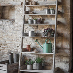 Aldsworth Shelf Ladder Wide, Large - Natural Shelves & Bookcases - Bokel Home
