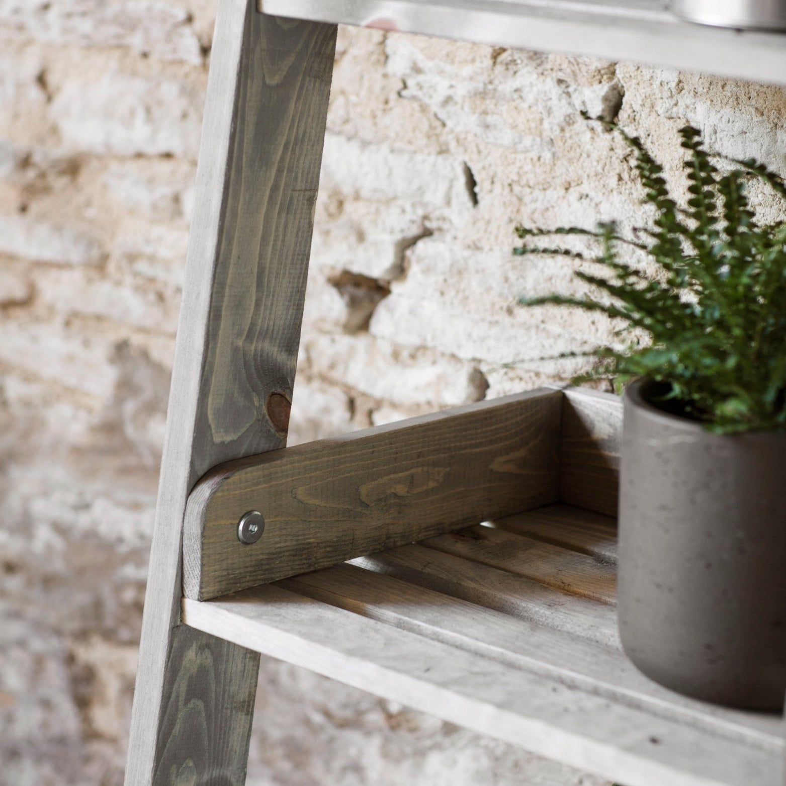 Aldsworth Shelf Ladder Wide, Large - Natural Shelves & Bookcases - Bokel Home