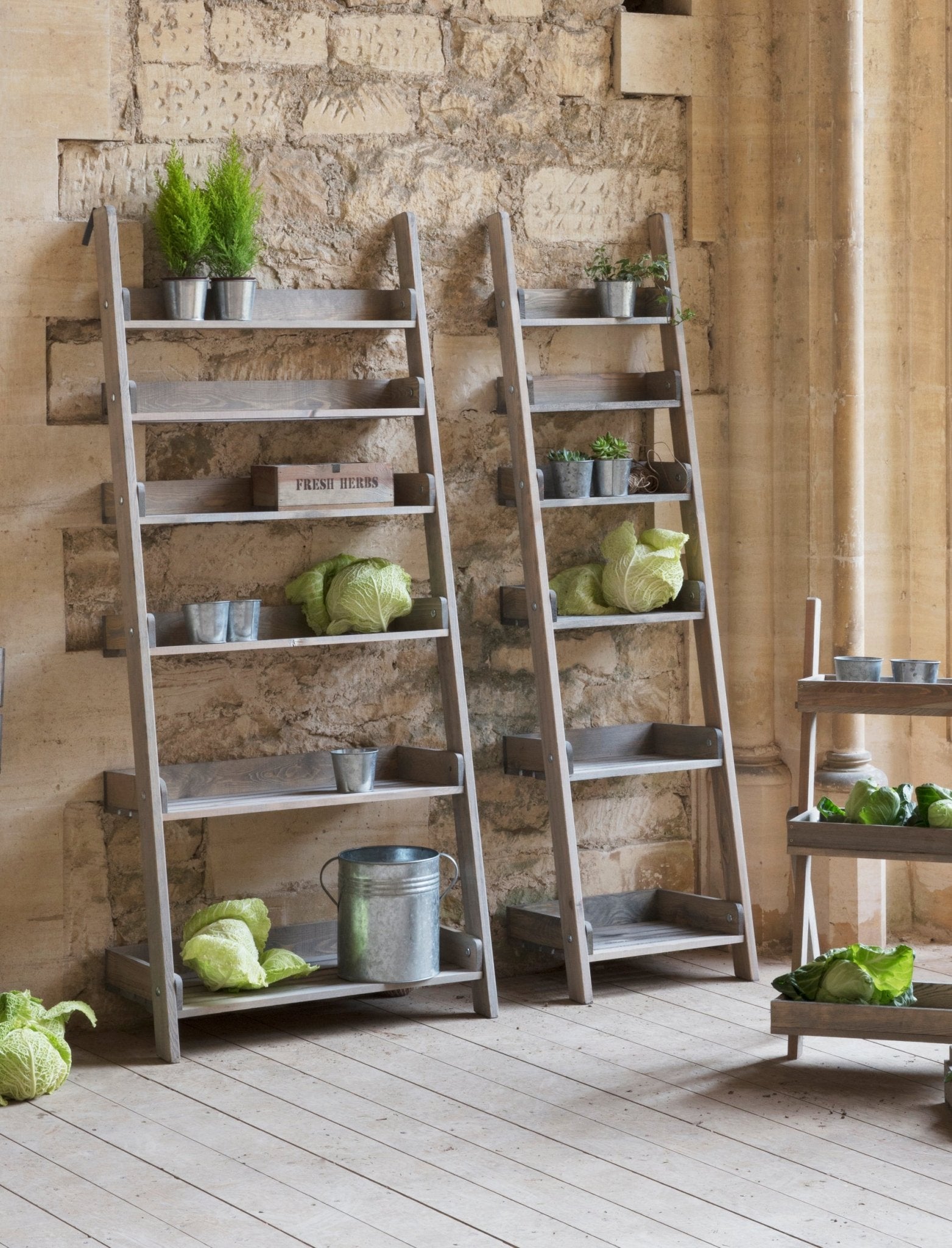 Aldsworth Shelf Ladder Wide, Small - Natural Shelves & Bookcases - Bokel Home