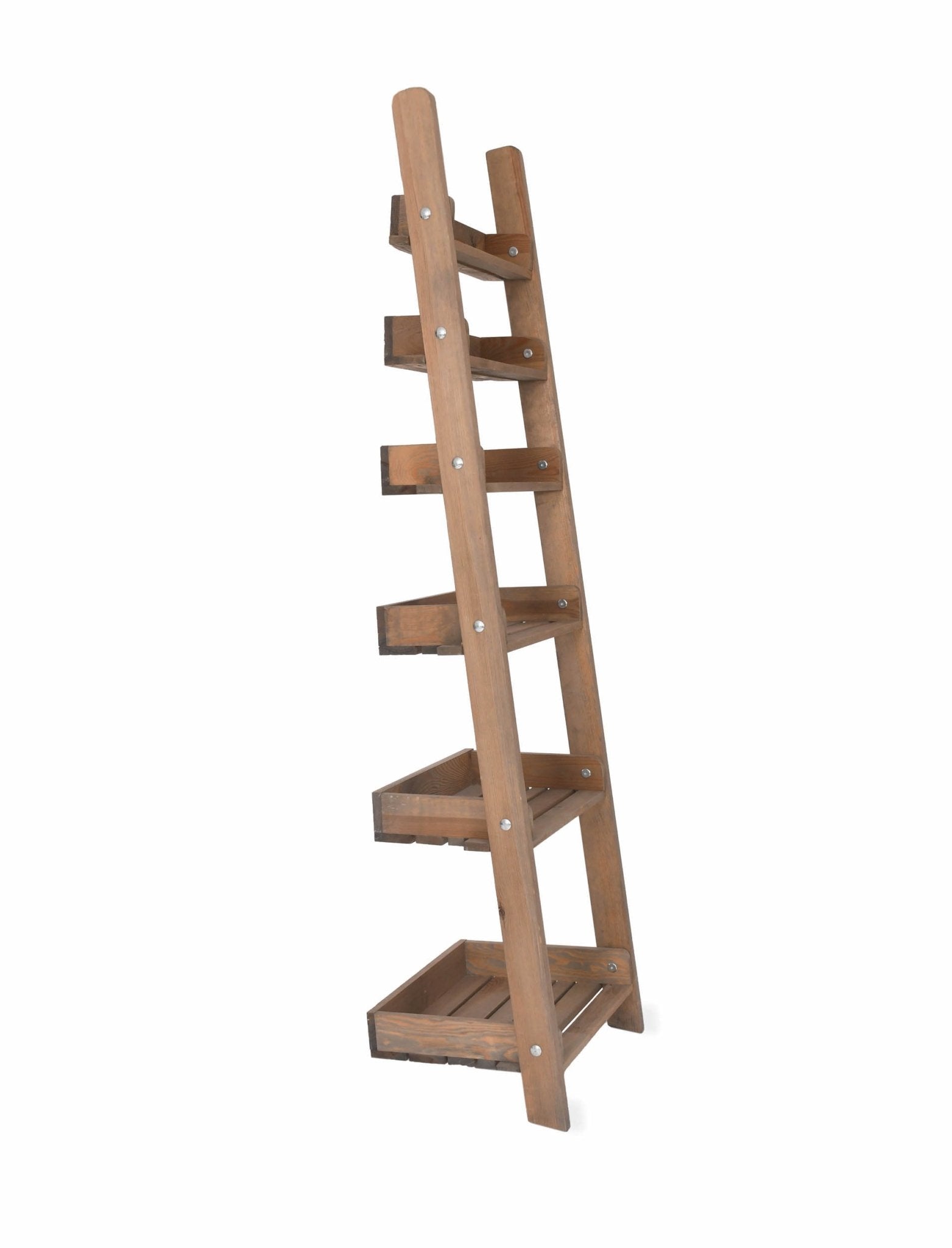 Aldsworth Shelf Ladder Wide, Small - Natural Shelves & Bookcases - Bokel Home