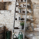 Aldsworth Shelf Ladder Wide, Small - Natural Shelves & Bookcases - Bokel Home