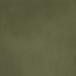  Bokel Home Sample Olive Green Painted Mango Wood Sample