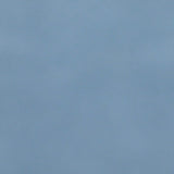  Bokel Home Sample Vintage Blue Painted Mango Wood Sample