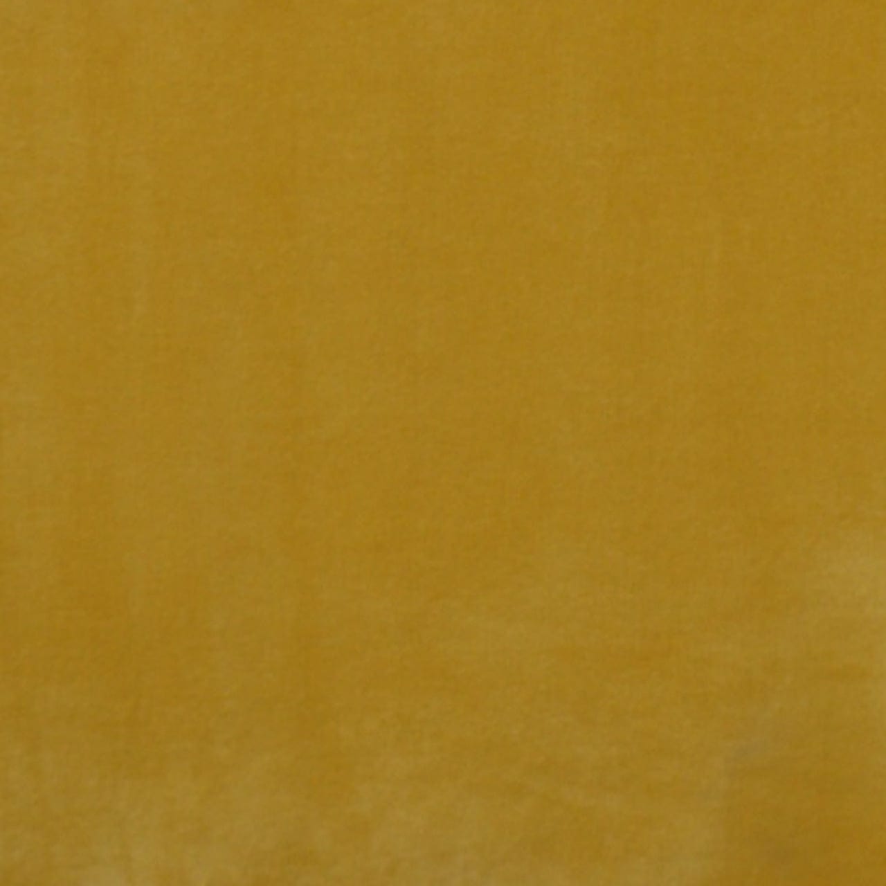  Bokel Home Swatch Mustard Yellow Velvet Sample