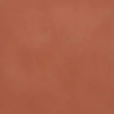 Brick Red Painted Mango Wood Sample Sample - Bokel Home