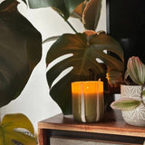 Atina Candle - Fresh Olive & Lemon