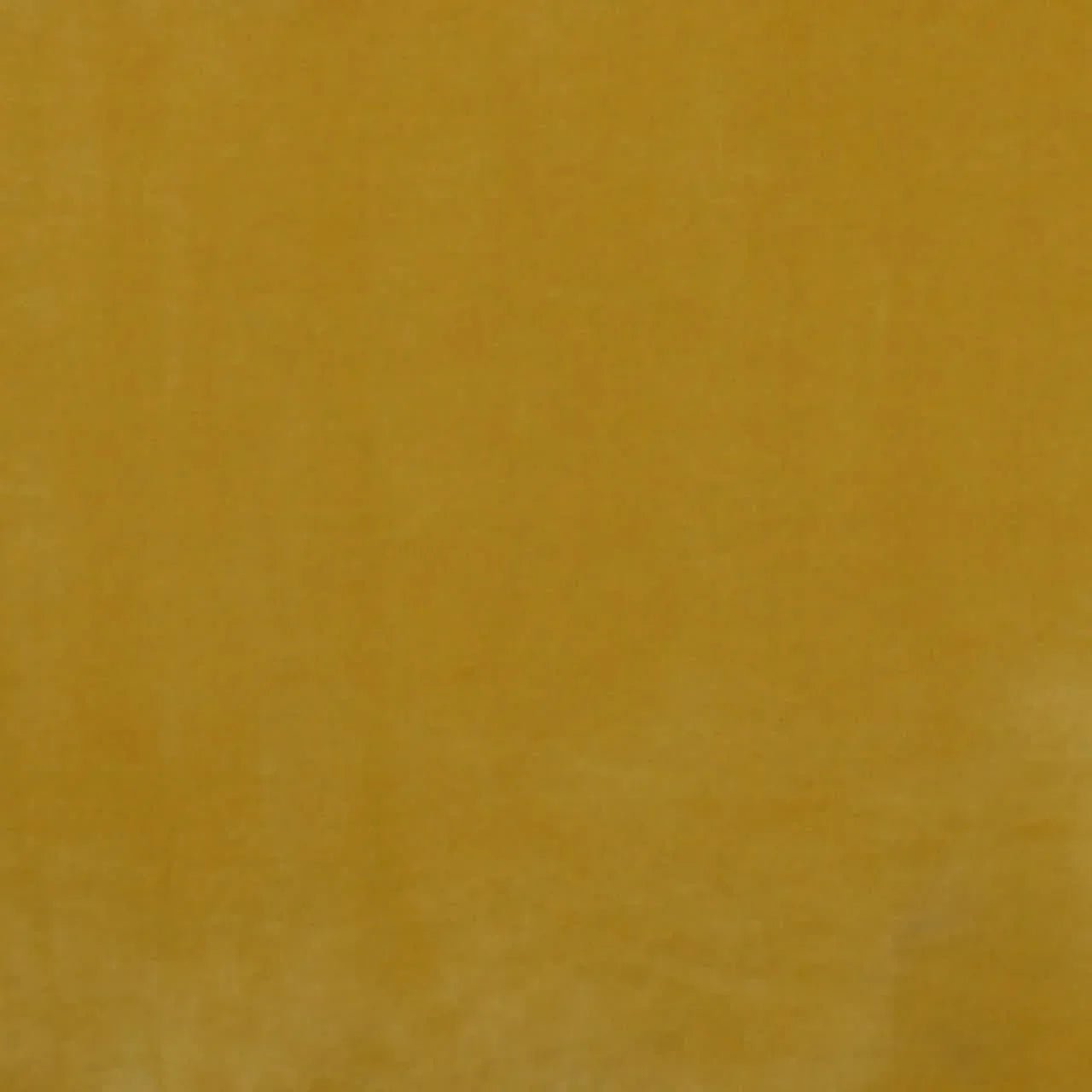 Mustard Yellow Velvet Sample Sample - Bokel Home
