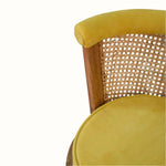 Seeley Cane Chair - Mustard Velvet/Natural Accent Chairs - Bokel Home